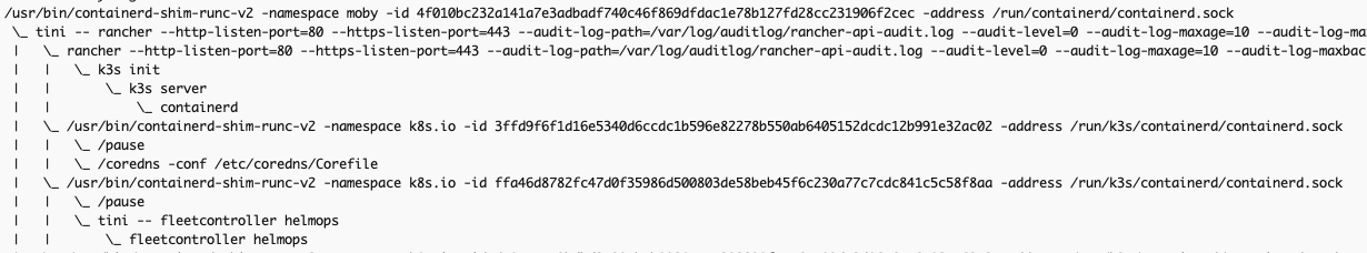Docker run后的宿主机PS