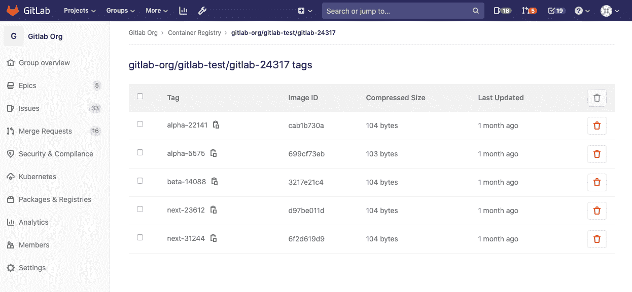 Container Registry project repository details