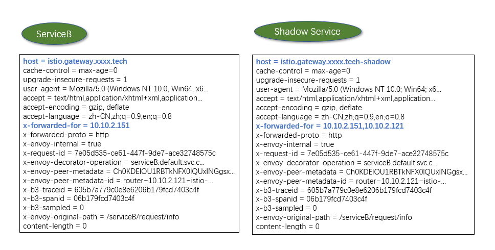 concepts-traffic-shadow-header