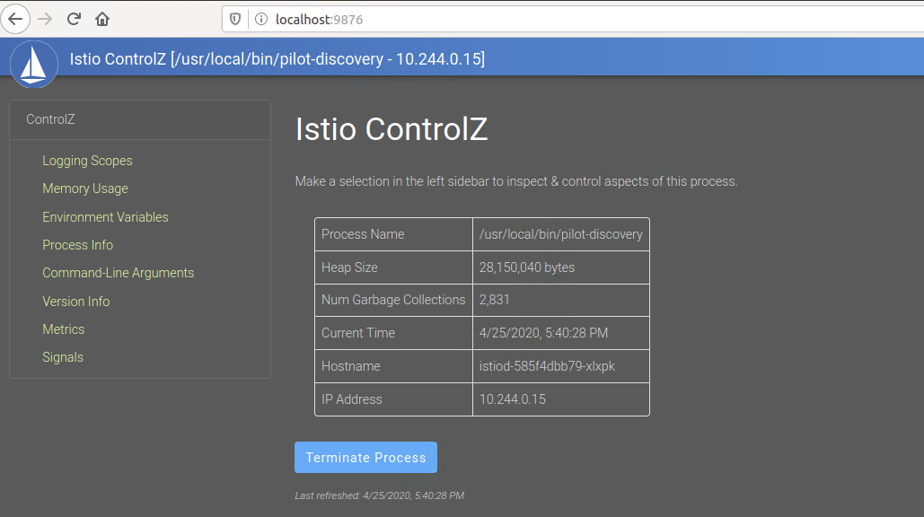 istiod ControlZ 用户界面