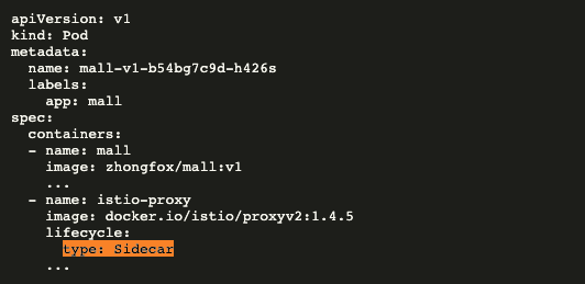 Sidecar 容器类型